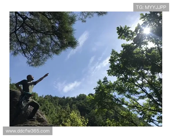 围绕种子队分档规则解析赛事格局与晋级前景展望全面解读与战略影响 - 副本 - 副本