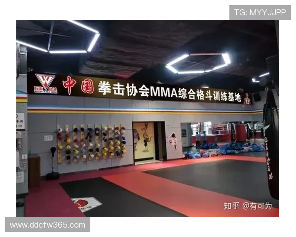 综合格斗竞技魅力与技术演进及未来发展趋势深度剖析全球格局变化 - 副本 - 副本 (3)