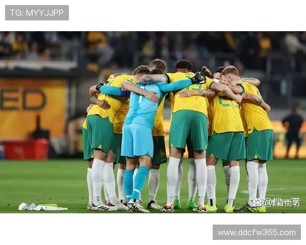 免费高清足球赛事直播视频平台实时更新热门联赛精彩对决尽情观看尽享激情时刻 - 副本 (2)